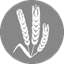 This item contains Wheat